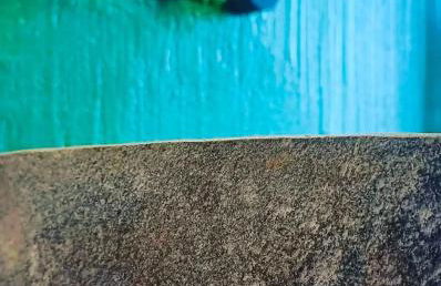 Le petit bijou - Photo 3