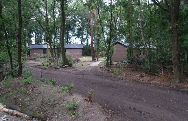 Modern Chalet Near Three National Parks - Photo 30