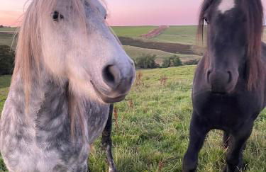 Auchenhill Lodge - Foto 33