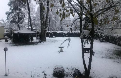 Fun Franz for 6 Persons - Foto 38