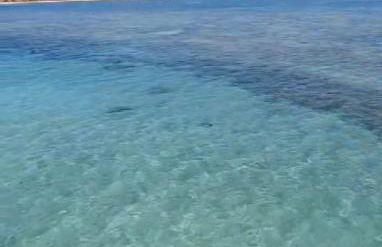 Casa na Ilha da Crôa/Barra de Santo Antônio - Photo 18