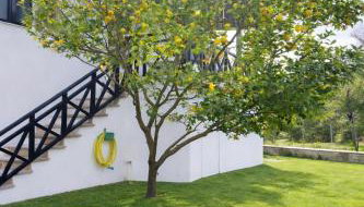 Elia & Petra Villa - Foto 2, Garden view