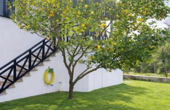 Elia & Petra Villa - Photo 2