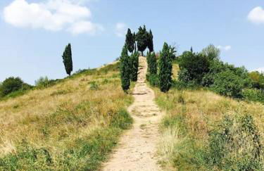 Belvedere a Monte - Foto 15