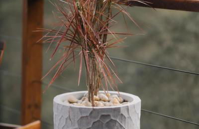 Cabana Alpina Ibitipoca - Foto 15