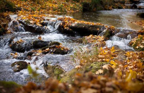 Chatka Bratka - Foto 15