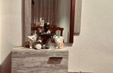 Apartamentos Ruz - Foto 8