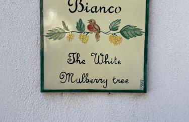 Il Gelso Bianco -The White Mulberry Tree - Foto 11