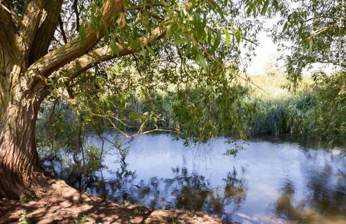 2 Bed in Thame oc-cc068 - Foto 32