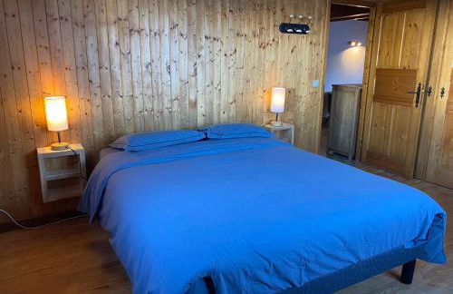 Les Georgières, 300m des pistes du Mont-Rond - Foto 41