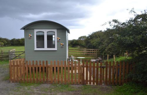 Peaceful Shepherd's Hut next to Horse Field - Foto 1