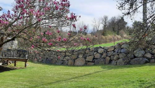 Villa Magnolia 8 personnes - Foto 2, Other