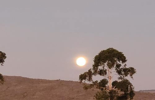 Chalés Recanto da Baleia - Foto 12