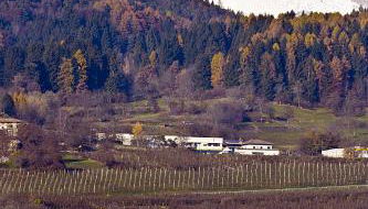 Agritur Maso Pra' Cavai B&B - Foto 4