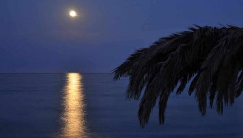 Blue Diamond - Foto 4