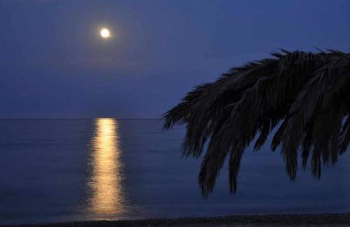 Blue Diamond - Foto 4