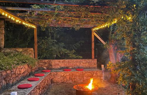 plumbago blue - Foto 11