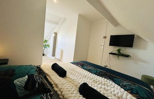 Casa Les Ponts de Cé - Photo 18