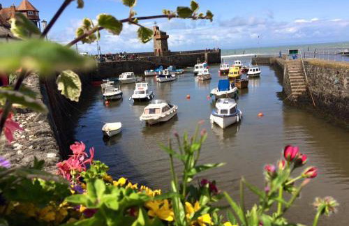 Putsborough Manor 3 Self Catering Cottages with Beach a short walk, dog friendly all year, On site Tennis, Play Area, Paddock, Spa baths, BBQ, Private Gardens, Superfast WIFI - Photo 7