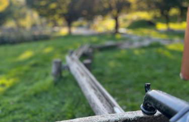 Bachnixe 1 - Foto 42