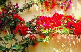 villa Giada - Foto 36