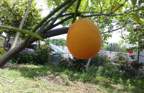 Room near the Airport - Foto 34