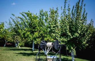 Gravaris House - Foto 58