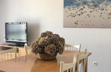 VUT sencilla y cómoda en Ávila capital. - Foto 8