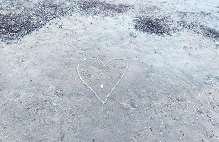 Bungalow im Garten in Wiek - Foto 20