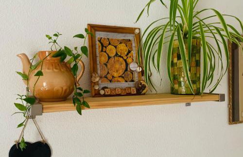 Côté Rive, au bord de la rivière La Moselotte et terrasse - Foto 7