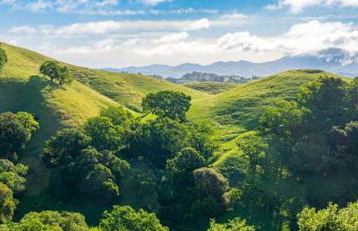 Relax and Rejuvenate- Lafayette Treehouse with Cave Spa, Waterfall, and Incredible Views - Foto 49