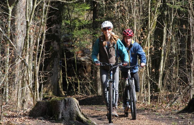 Recorrido en patinete de descenso - Foto 3