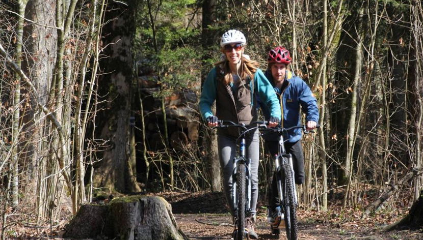 Downhill Gravity Scooter Tour - Foto 3