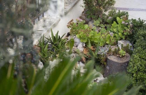 Villa Opatija - Photo 28