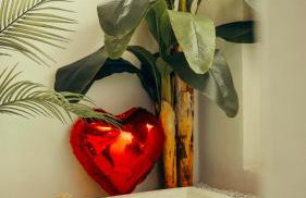 Love room Piccola casa, côté île - Photo 4