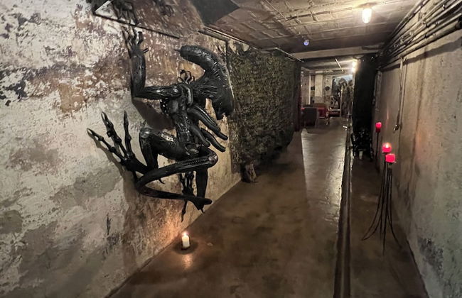 Carli's Base Camp - Photo 16