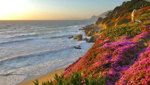 Oceanfront luxury wdramatic views - 30 day rental minimum - Foto 2