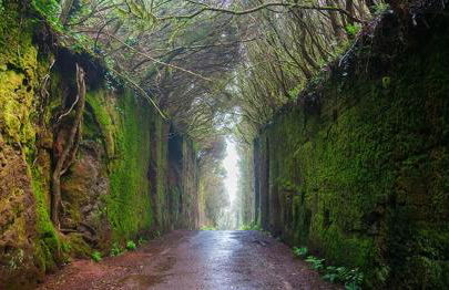 Casa Unifamiliar - Foto 8