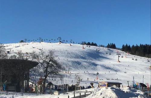 BioNestlein Wellness Apartments mit Biosauna und Wintergarten - Foto 19