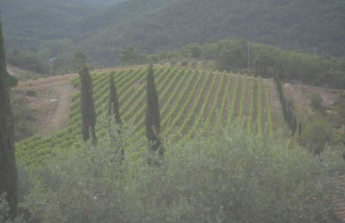 Celle di Lecchi Fienile - Foto 49