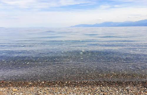 SeaView Backyard - Photo 41