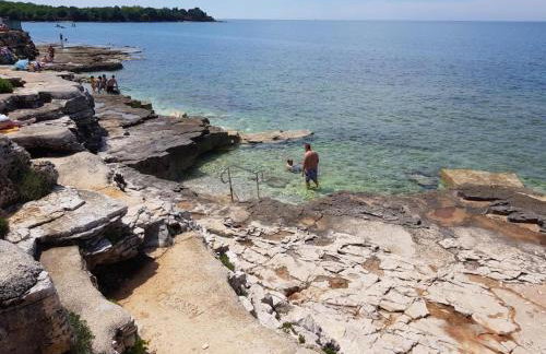 Casa Rosa - Photo 37