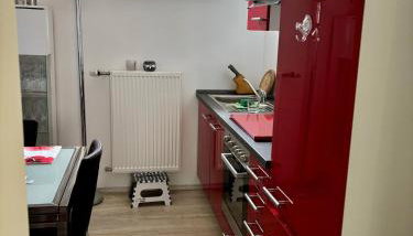 Schicke Einliegerwohnung - Foto 2