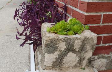 Apartments with parking space Podaca, Makarska - 10439 - Foto 11