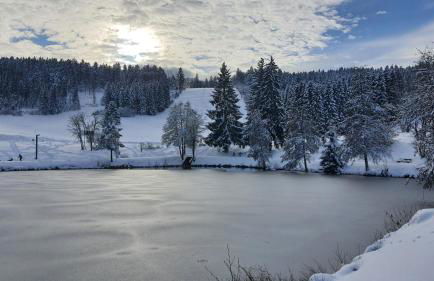 Ferienwohnung Seeblick mit Balkon - Mein Schwarzwaldhäusle - Foto 20
