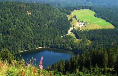 Lush Apartment in Furtwangen near Black Forest with Balcony - Foto 76