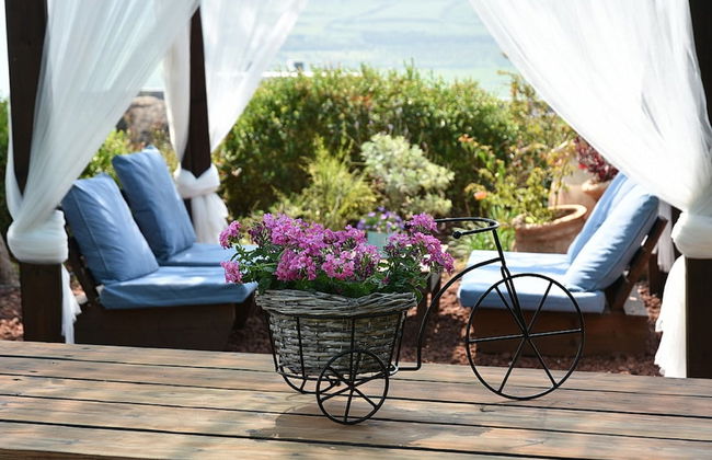 Mul Kineret Suites - Photo 43