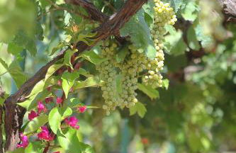 Venetis Luxury Apartments - Photo 12