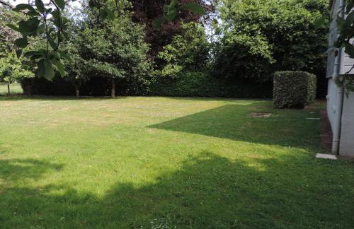 Les hirondelles au bord de l'eau - Foto 13