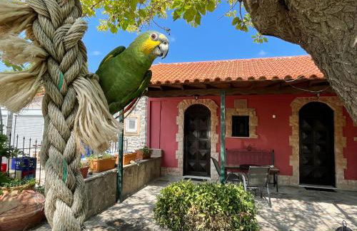 Terracotta Boutique Beach Studios - Photo 23